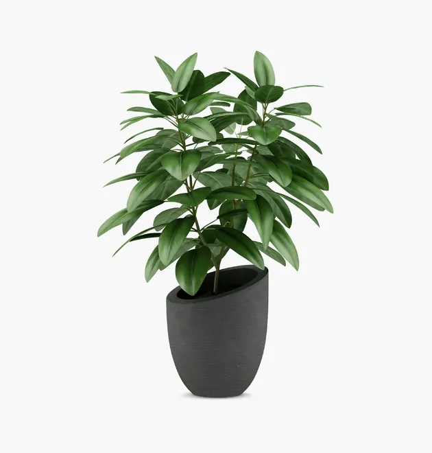 product image 1_optimized