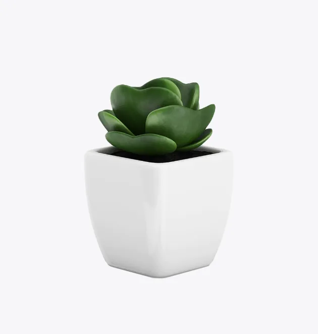 product image 9_optimized